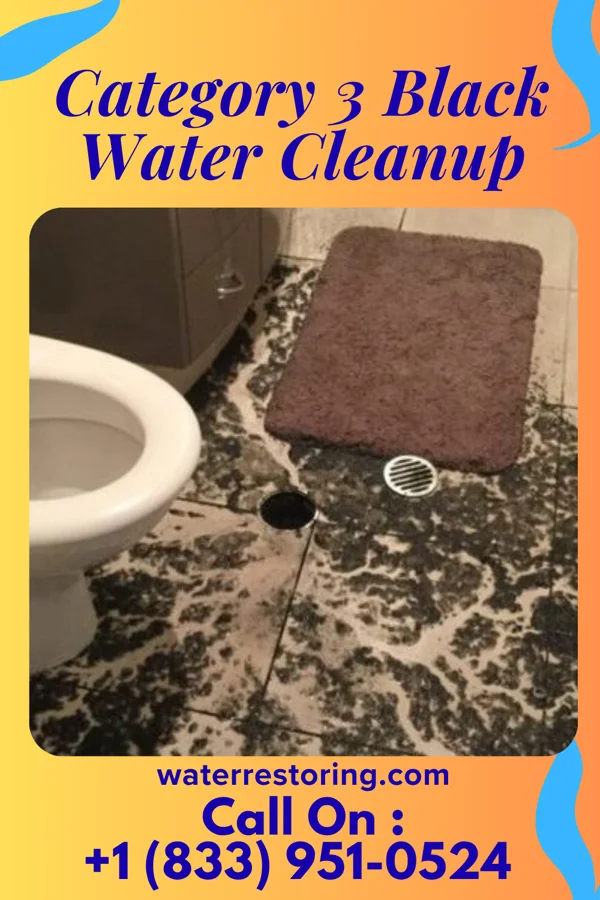 Category 3 Black Water Cleanup in Timberlake, VA