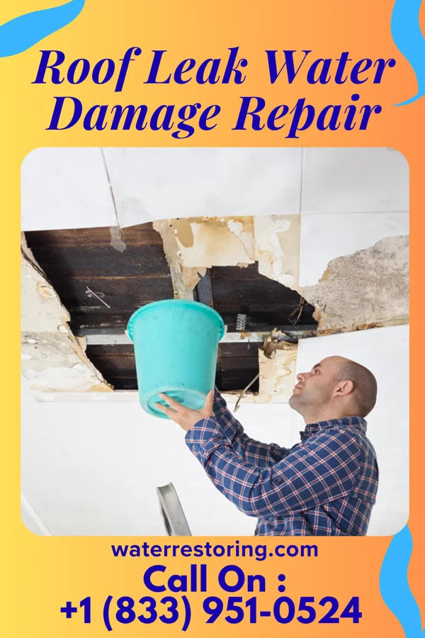 Roof Leak Water Damage Repair in Timberlake, VA