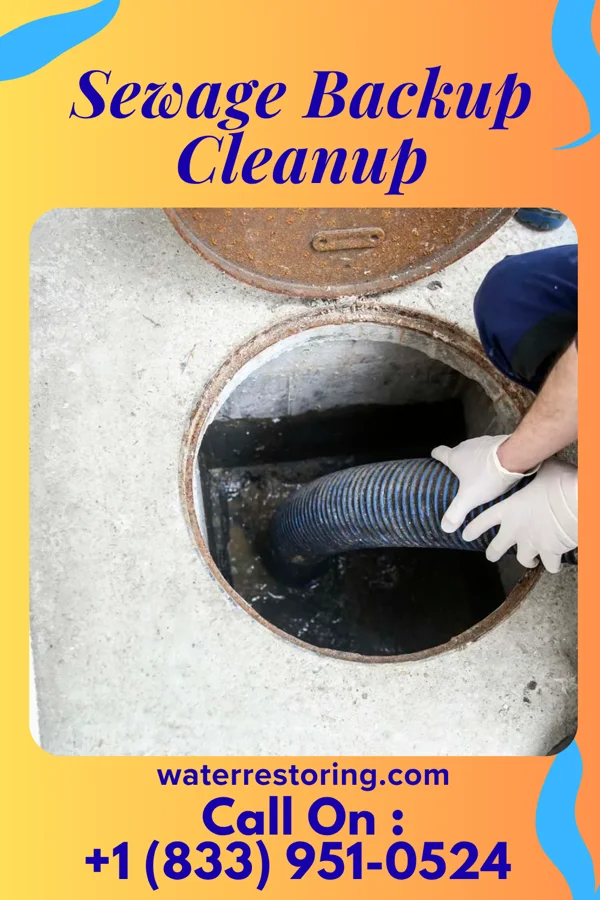 Sewage Backup Cleanup in Timberlake, VA