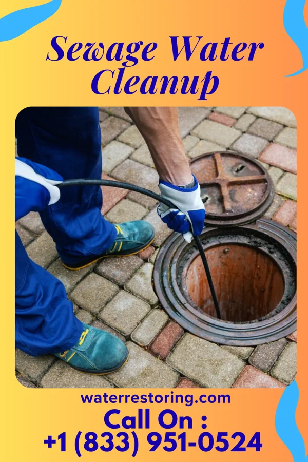 Sewage Water Cleanup in Timberlake, VA